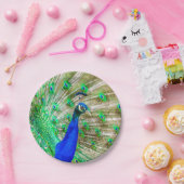 Peacock Plumage Pappteller (Party)