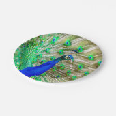 Peacock Plumage Pappteller (Schrägansicht)