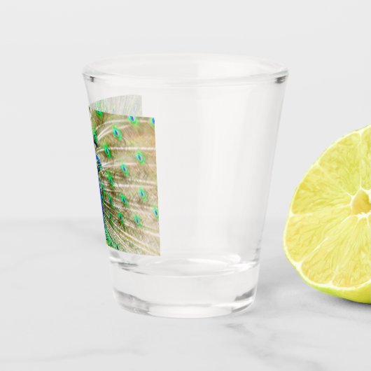 Peacock Plumage Schnapsglas (Rechts)