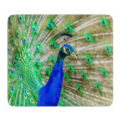 Peacock Plumage Schneidebrett (Vorderseite)