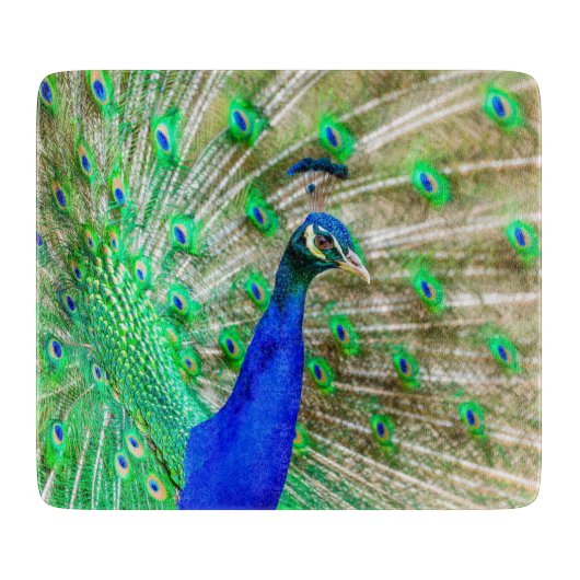 Peacock Plumage Schneidebrett (Vorderseite)