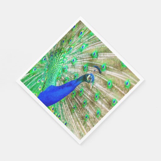 Peacock Plumage Serviette (Ecke)