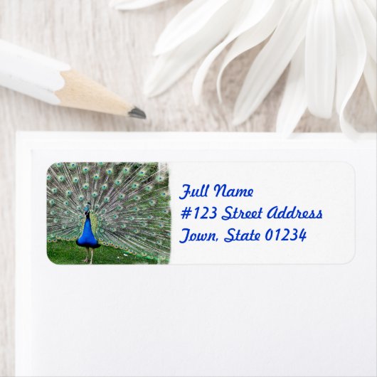 Peacock Plume Mailing Label (Insitu)