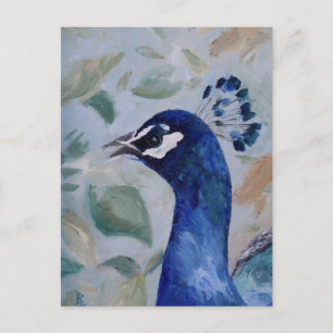 Peacock Portrait Postkarte