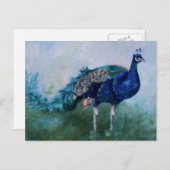 Peacock Postcard Postkarte (Vorne/Hinten)