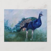 Peacock Postcard Postkarte (Vorderseite)