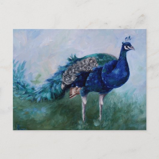 Peacock Postcard Postkarte (Vorderseite)