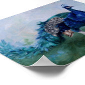Peacock Poster (Ecke)