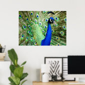 Peacock Poster (Heimbüro)