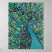 Peacock Poster (Vorne)