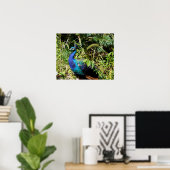 Peacock Poster (Heimbüro)