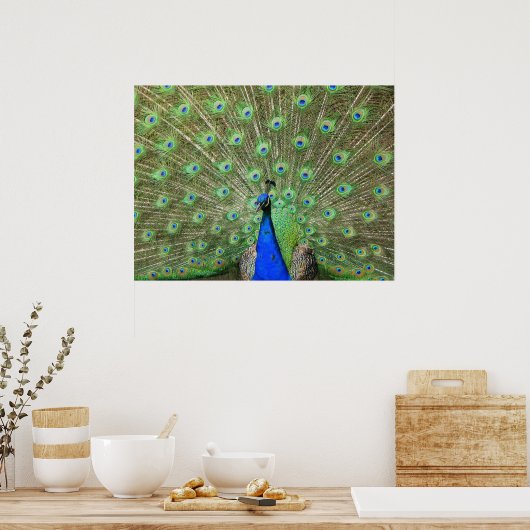 Peacock Poster (Küche)