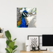 Peacock Poster (Heimbüro)