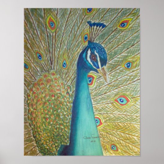 Peacock Poster (Vorne)