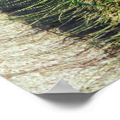 Peacock Poster (Ecke)