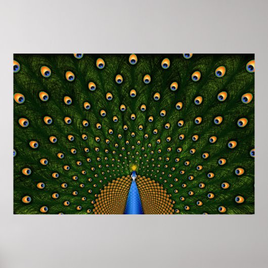 Peacock Poster (Vorne)