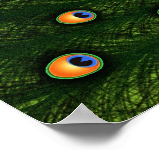 Peacock Poster (Ecke)