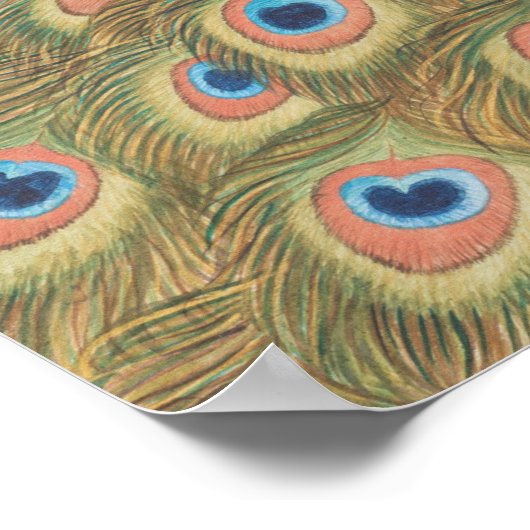Peacock Poster (Ecke)