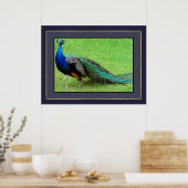 Peacock Poster (Küche)