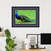 Peacock Poster (Heimbüro)