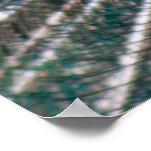 Peacock Poster (Ecke)