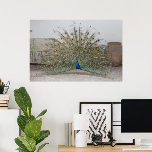 Peacock Poster (Heimbüro)