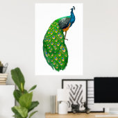 Peacock Poster (Heimbüro)