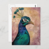 Peacock Postkarte (Vorne/Hinten)