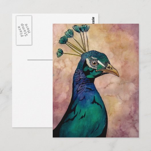 Peacock Postkarte (Vorne/Hinten)