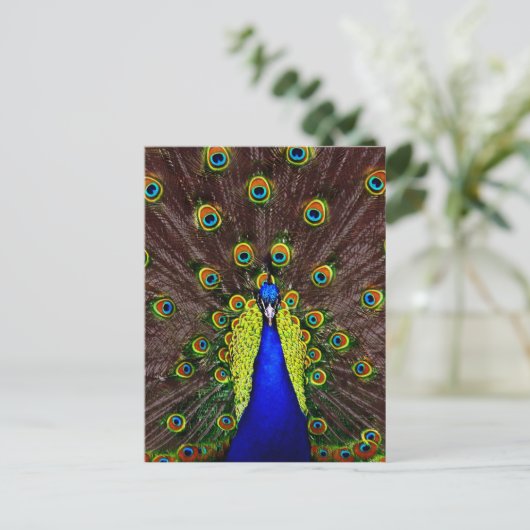 Peacock Postkarte (Stehend Vorderseite)