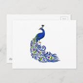 Peacock Postkarte (Vorne/Hinten)