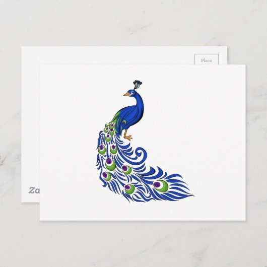 Peacock Postkarte (Vorne/Hinten)