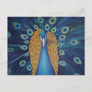 Peacock Postkarte