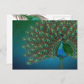 Peacock Postkarte (Vorne/Hinten)