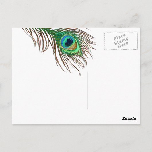 Peacock Postkarte (Rückseite)