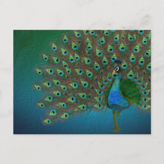 Peacock Postkarte (Vorderseite)