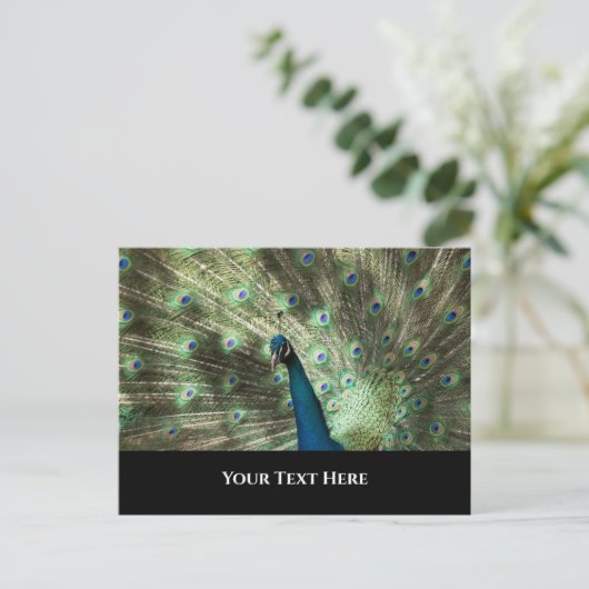 Peacock Postkarte (Stehend Vorderseite)