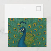 Peacock Postkarte (Vorne/Hinten)