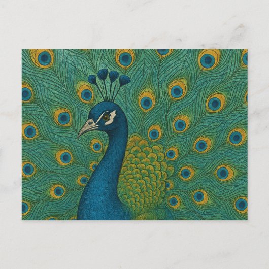 Peacock Postkarte (Vorderseite)