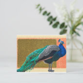 Peacock Postkarte (Stehend Vorderseite)