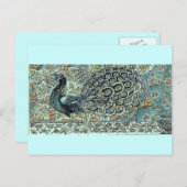 Peacock Postkarte (Vorne/Hinten)