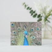Peacock Postkarte (Stehend Vorderseite)