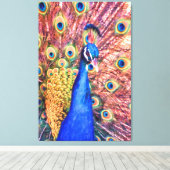 PEACOCK POWER SHOWOFF LEINWANDDRUCK (Insitu (Holzboden))