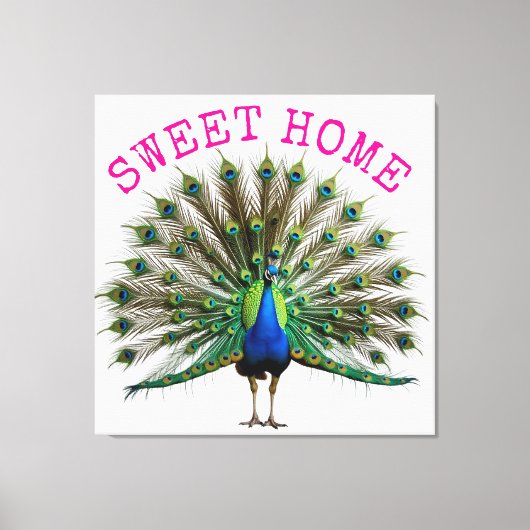 Peacock Premium Wrapped Canvas Leinwanddruck (Vorderseite)