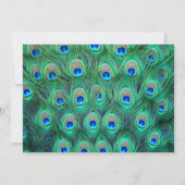 Peacock Probe Dinner Einladung (Rückseite)