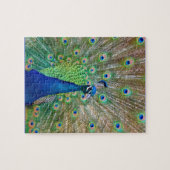 Peacock Puzzle (Horizontal)