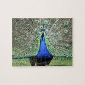 Peacock Puzzle (Horizontal)