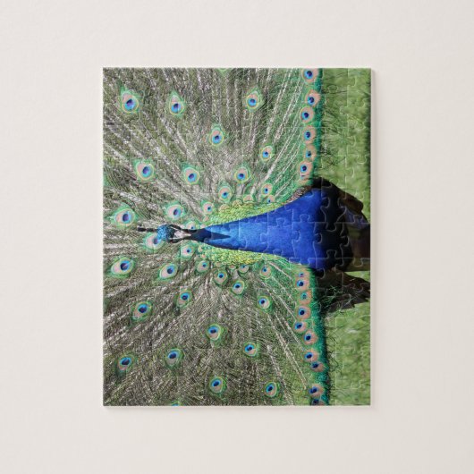 Peacock Puzzle (Vertikal)