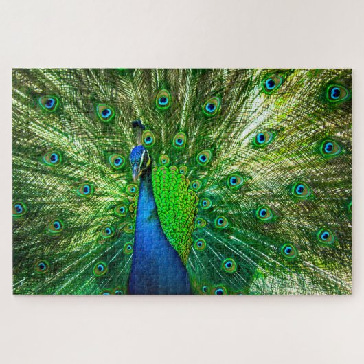Peacock Puzzle (Horizontal)