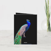 PEACOCK RESTING FOTO PHEASANT NOTE CARD (Rückseite)